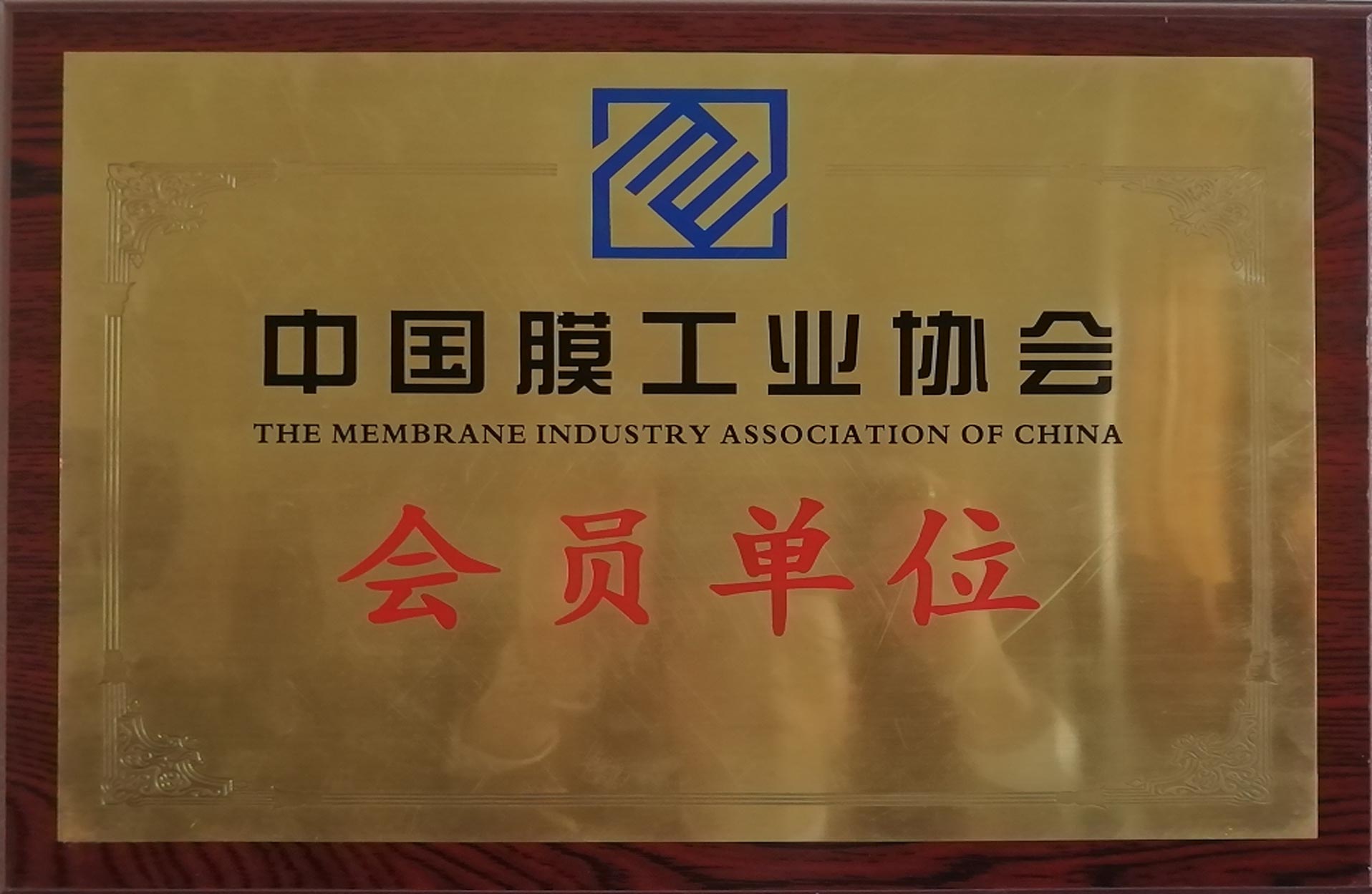 图层 2